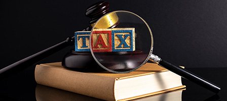 The Consequences of Being a Tax Evader