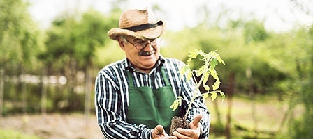 What happens if you die without a will?